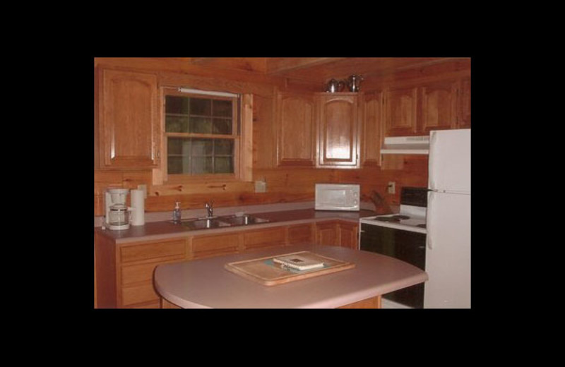 Cabin kitchen at Honey Fork Properties.