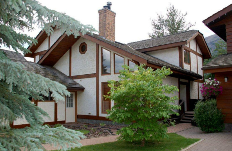 Cabin exterior at Bear Cub Lodging.