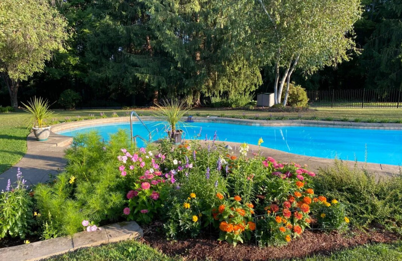 Outdoor pool at Sun and Cricket.