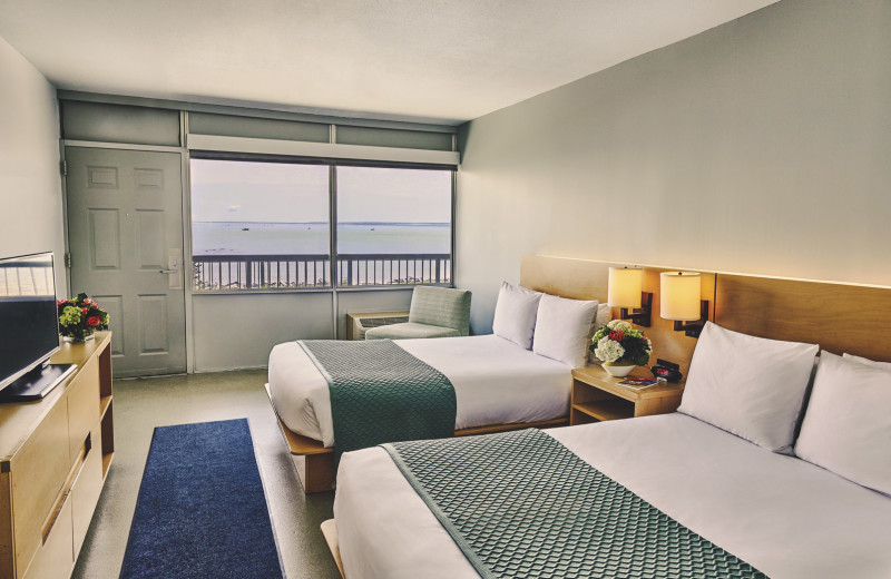 Guest room at Harbor Hotel Provincetown.