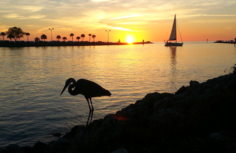 Sunset at A Beach Retreat.