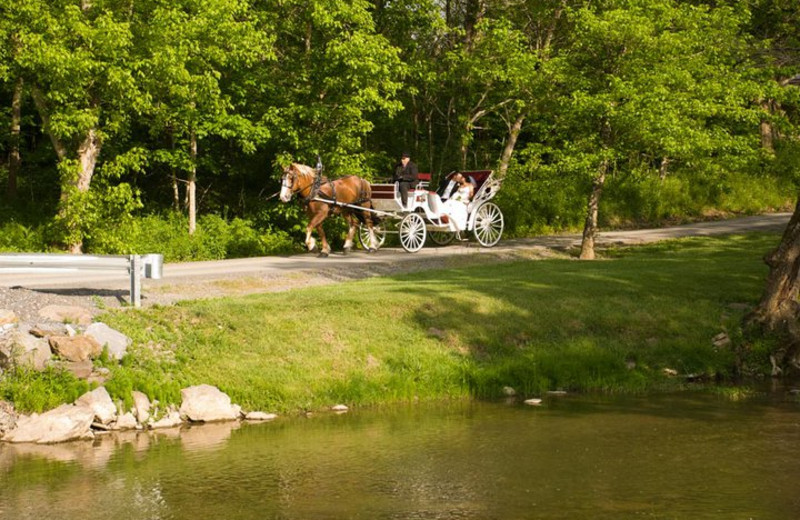 Carriage ride at Creekside Resort.