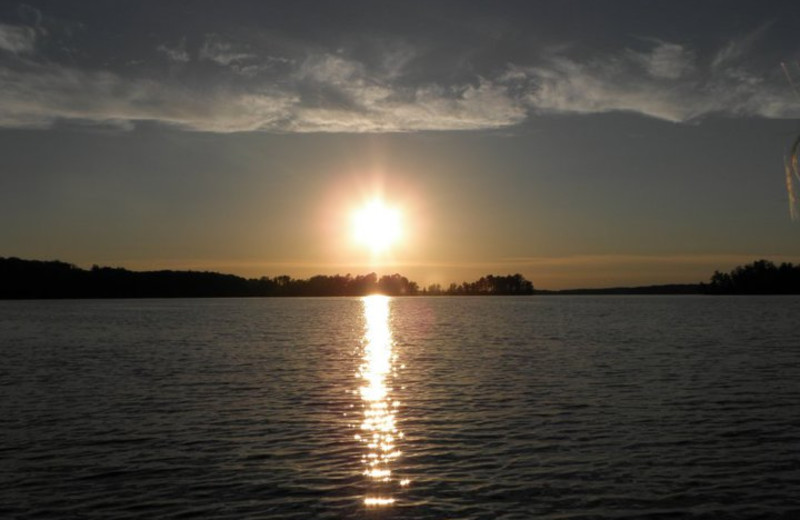 The Lake at Revelle