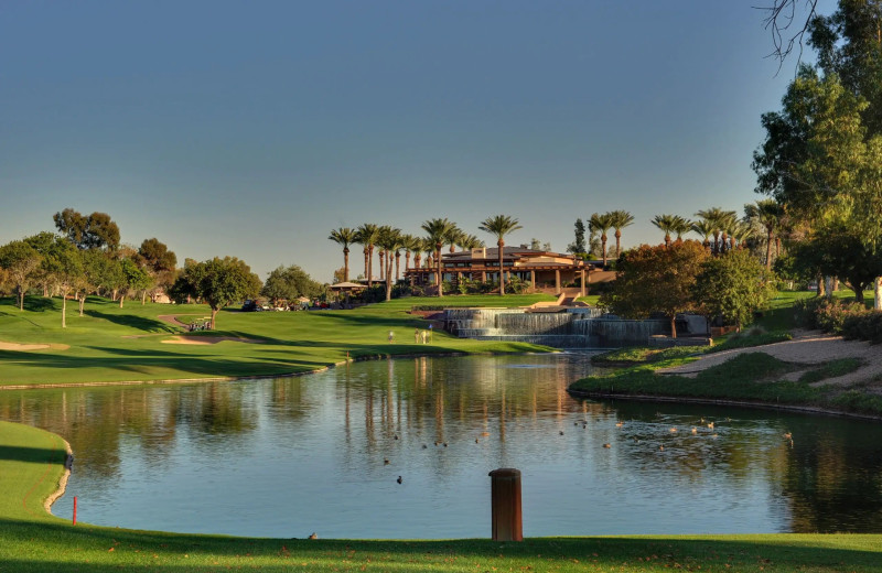 Golf at Hyatt Regency Scottsdale Resort and Spa at Gainey Ranch.