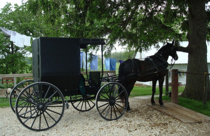 Amish tours can be booked at Stone Mill Hotel & Suites