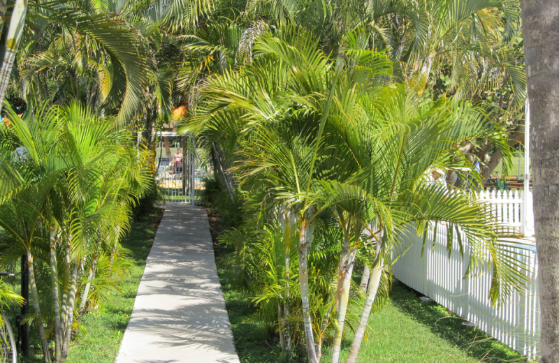 Walkway at Miami Everglades.