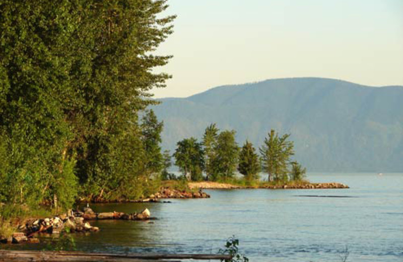 Area surrounding The Lodge at Sandpoint.