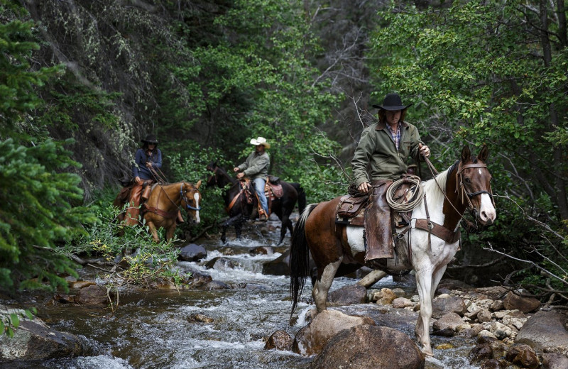Horseback riding at Rawah Guest Ranch.