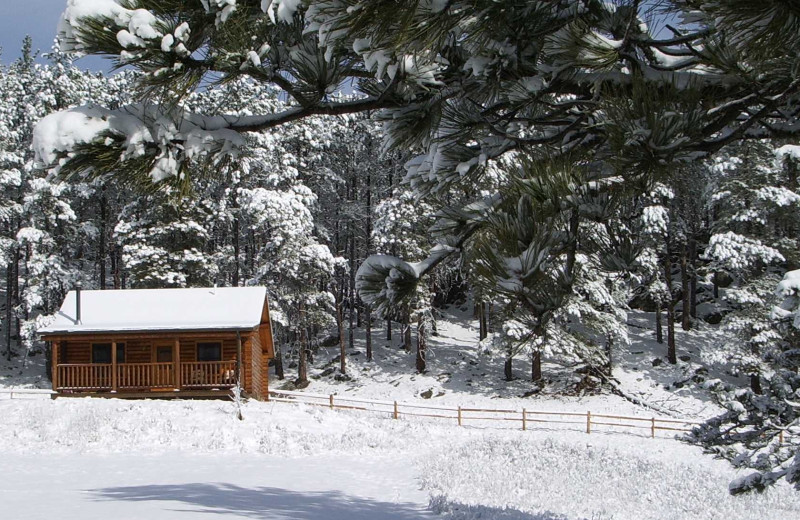 Cabin exterior at Newton Fork Ranch.