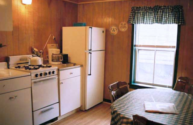 Cabin kitchen at Wilsons On Moosehead Lake.