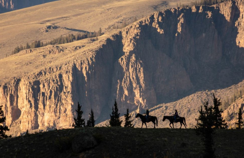 Horseback riding at 4UR Ranch.