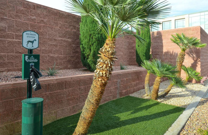 Pets welcome at Best Western Coral Hills.