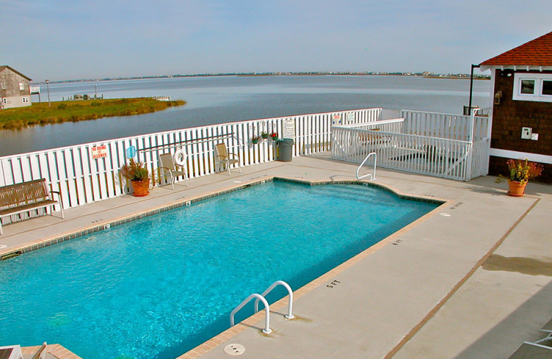 Outdoor pool at Oasis Suites.