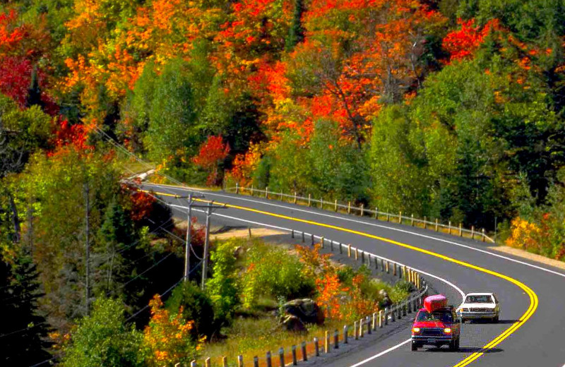 Scenic drive near Balsam Resort.