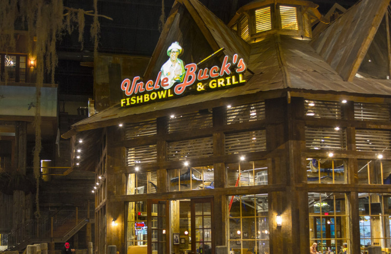 Restaurant at Big Cypress Lodge.