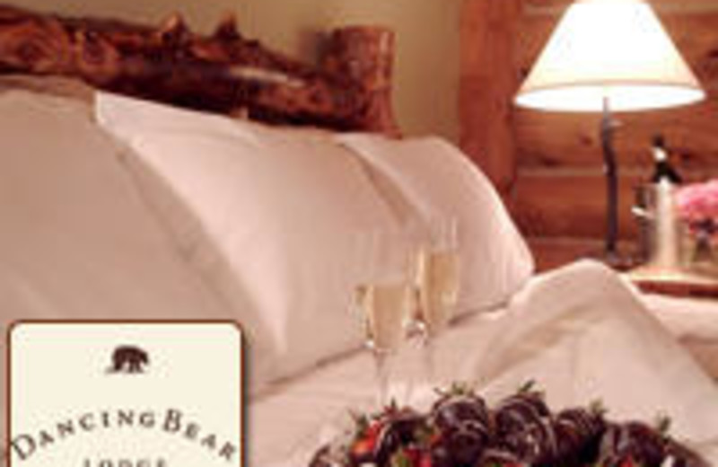 Dancing Bear Lodge (Townsend, TN) - Resort Reviews - ResortsandLodges.com