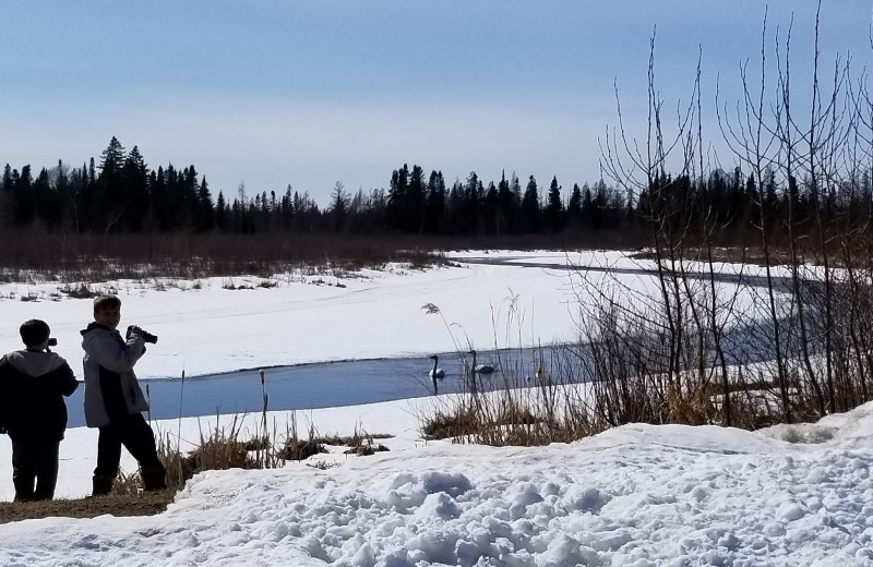 Skiing at Pine Beach Resort-Side Lake.