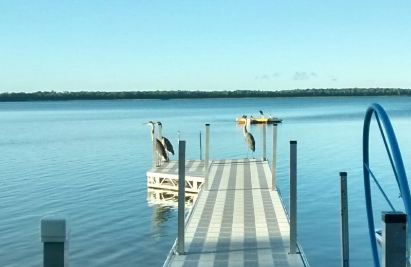 Dock at Woodlawn Resort.
