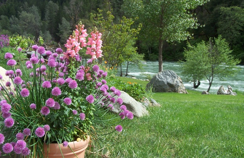 Grounds at Strawhouse Resorts.