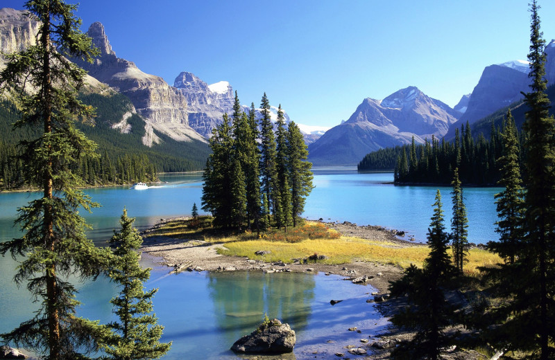 National park near Whistlers Inn.