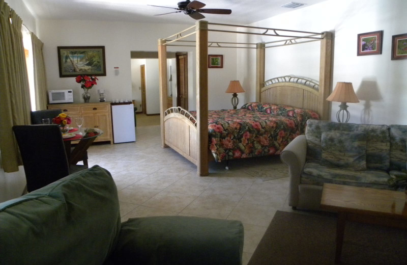Guest room at Rock Reef Resort.