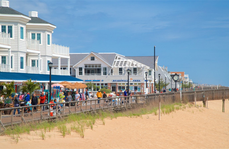 Beach at The Addy Sea.