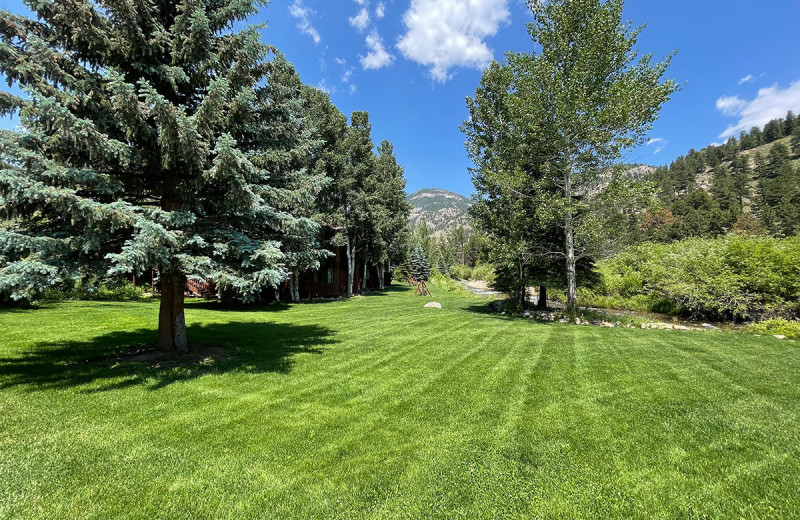 Grounds at Aspen Winds.