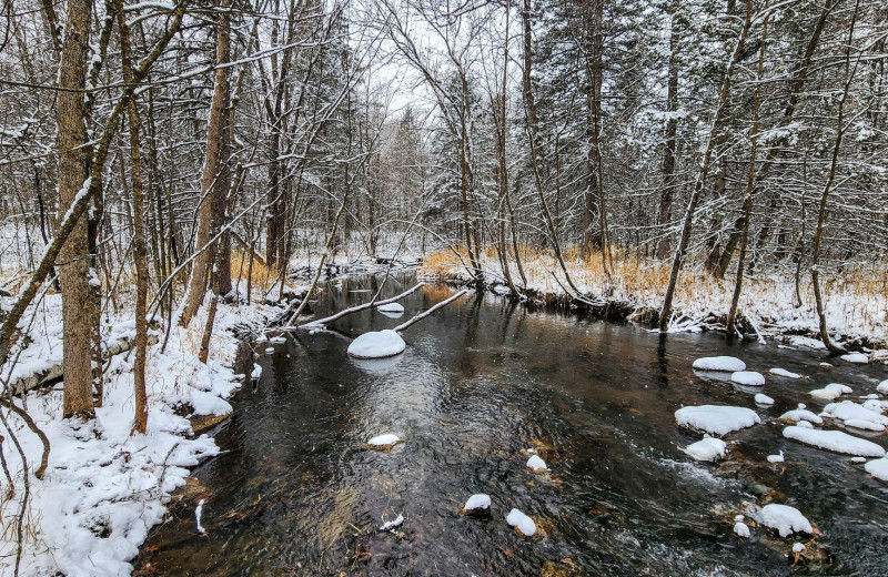 Winter at Acorn Acres on Rose Lake.