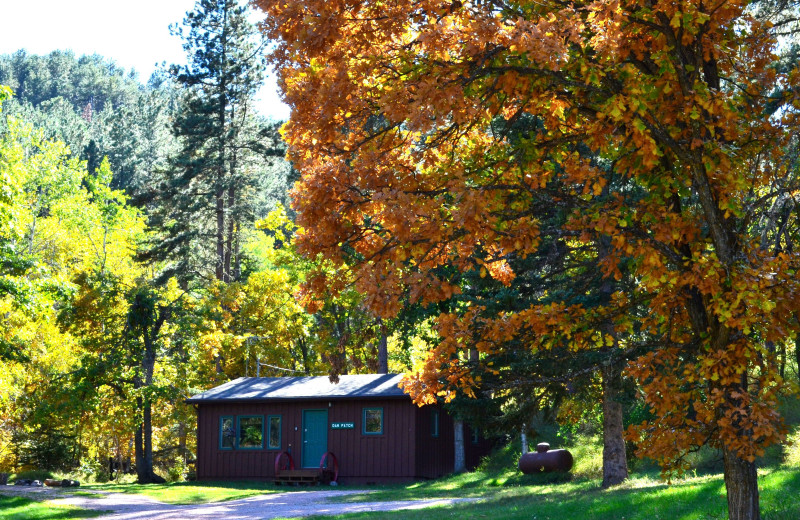 Cabin exterior at Backroads Inn and Cabins.