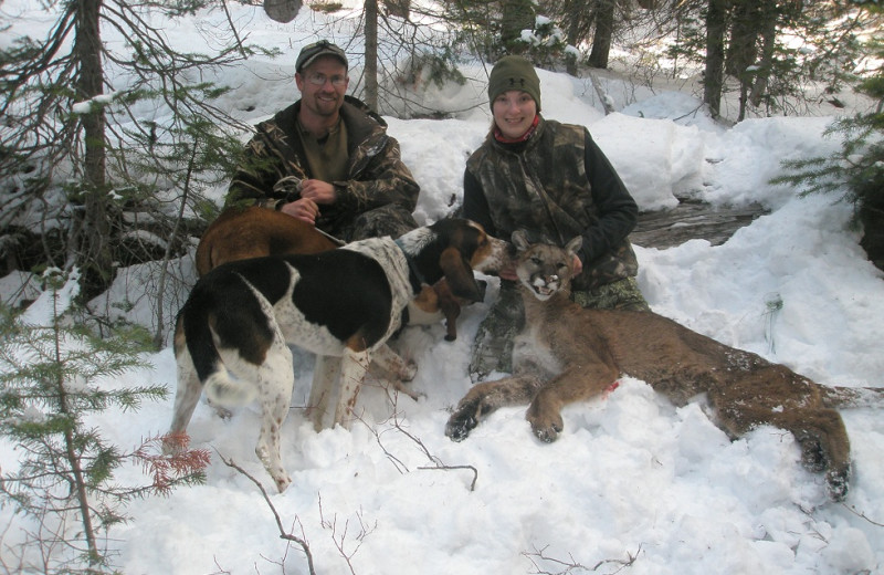 Mountain lion hunting at Silver Spur Outfitters.