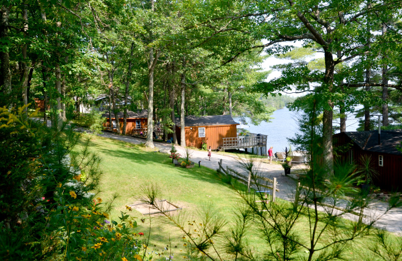 Cottage Accommodations on the lake at Blue Mountain Lodge in the Kawarthas