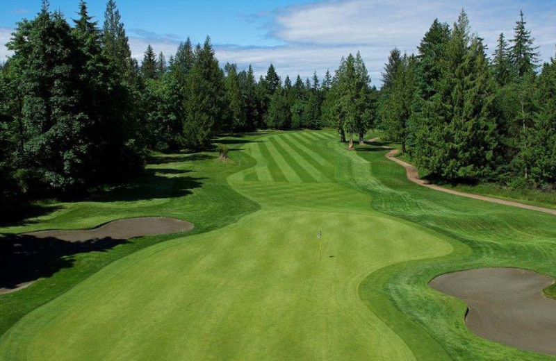 Golf at Sonora Resort and Conference Centre, Canada.