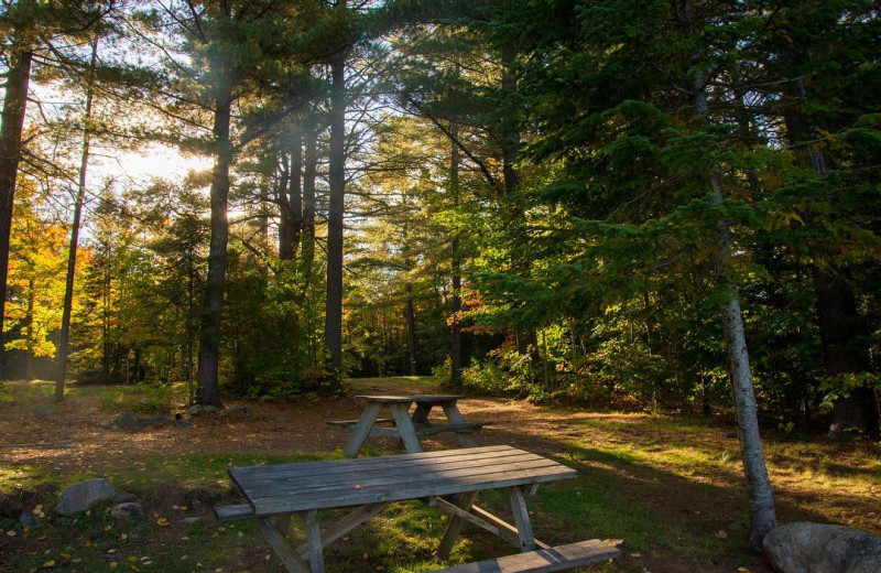 Picnic tables at Bonnie Lake Resort.