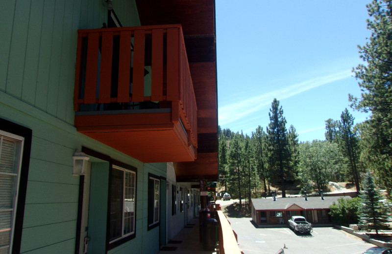 Exterior view of Honey Bear Lodge & Cabins.