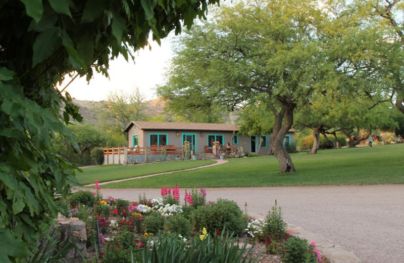 Cabin at Circle Z Ranch.