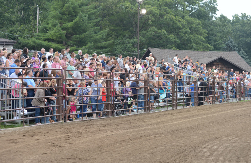 The Rodeo at Malibu Dude Ranch