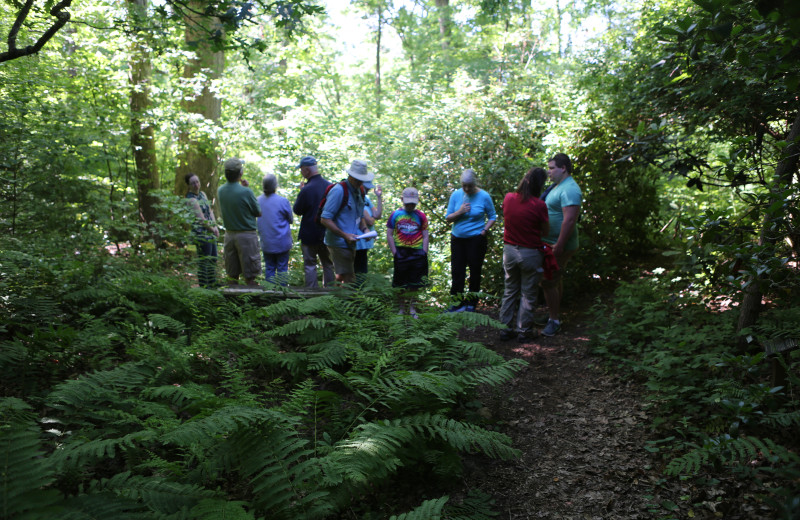 Nature walk near Lambuth Inn.