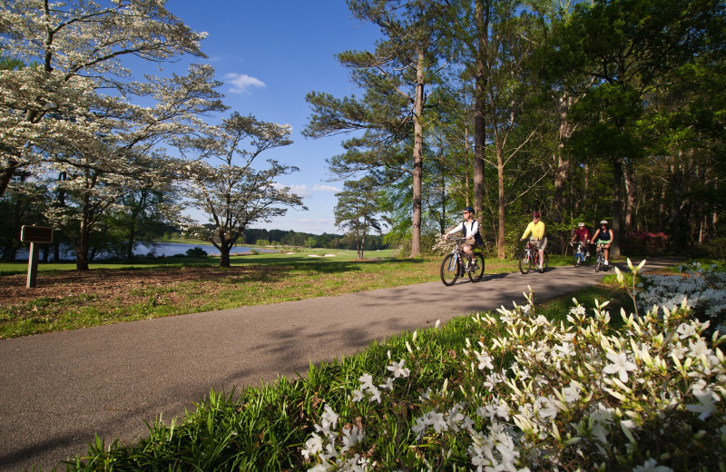 Biking at Callaway Gardens.