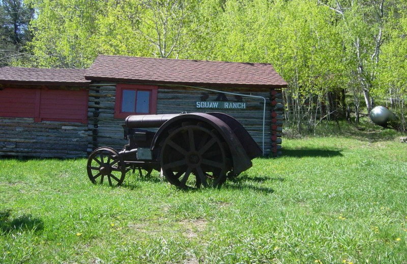 Antique Tractor at The Sugar & Spice Ranch