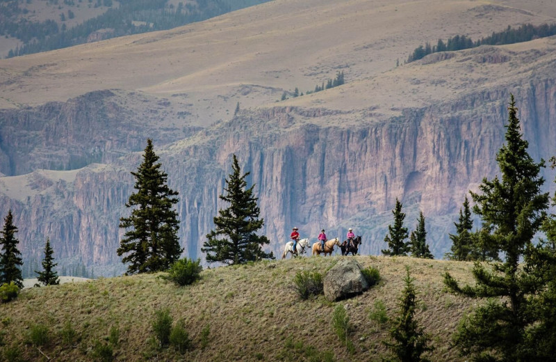 Horseback riding at 4UR Ranch.