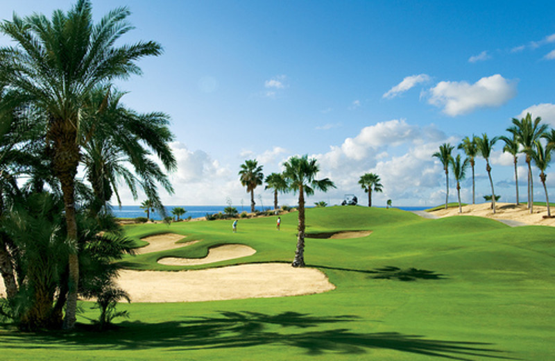 Hilton Los Cabos Beach & Golf Resort (Cabo San Lucas, BCS) - Resort