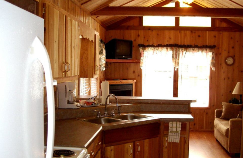 Copper John's Resort (Lakeview, AR) Resort Reviews