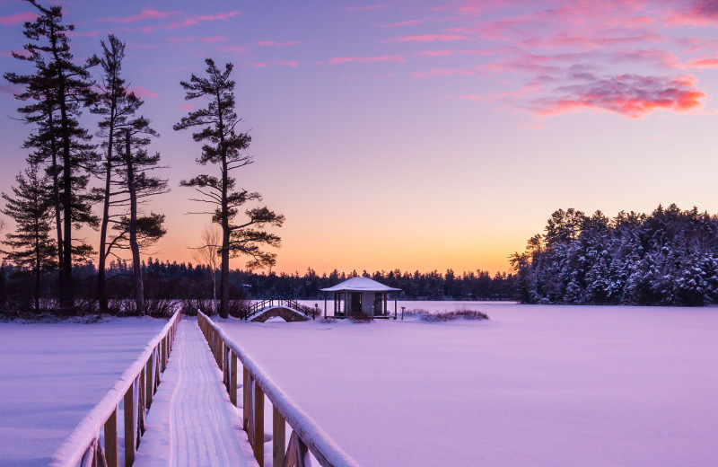 Winter at White Pine Camp.