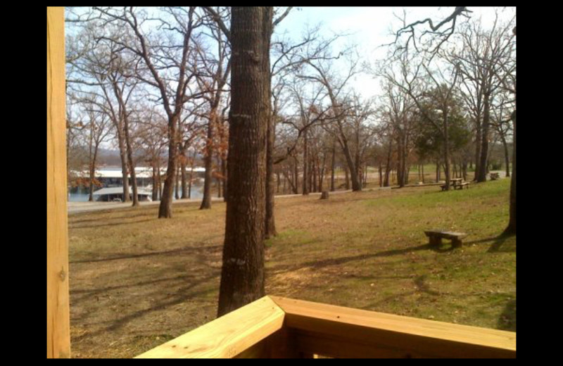 View from cabin at Lighthouse Lodge Resort.