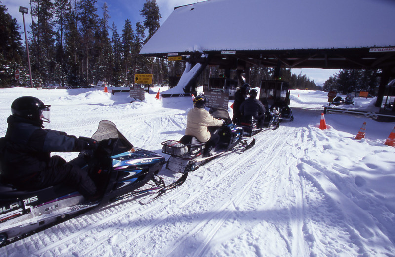 Snowmobiling at Yellowstone Wildlife Cabins.