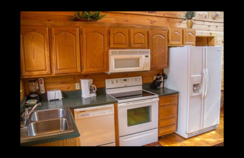 Cabin kitchen at Mountain Shadows Resort.