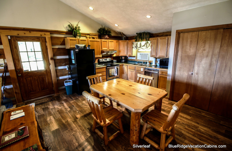 Cabin kitchen at Blue Ridge Vacation Cabins. 