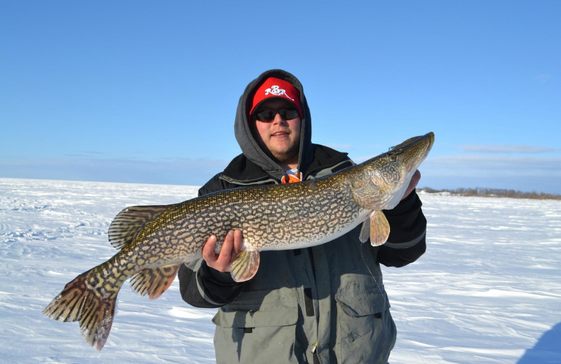 Ice fishing at River Bend's Resort & Walleye Inn.