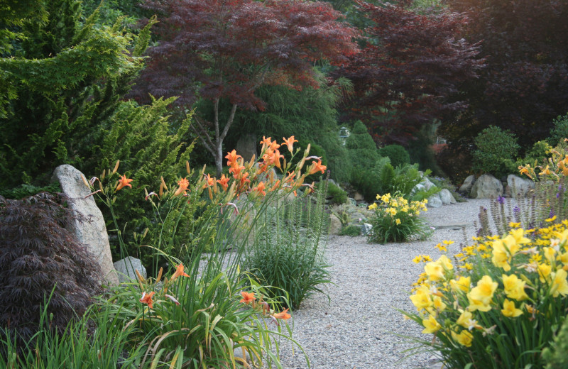 Garden at Pleasant Bay Village.