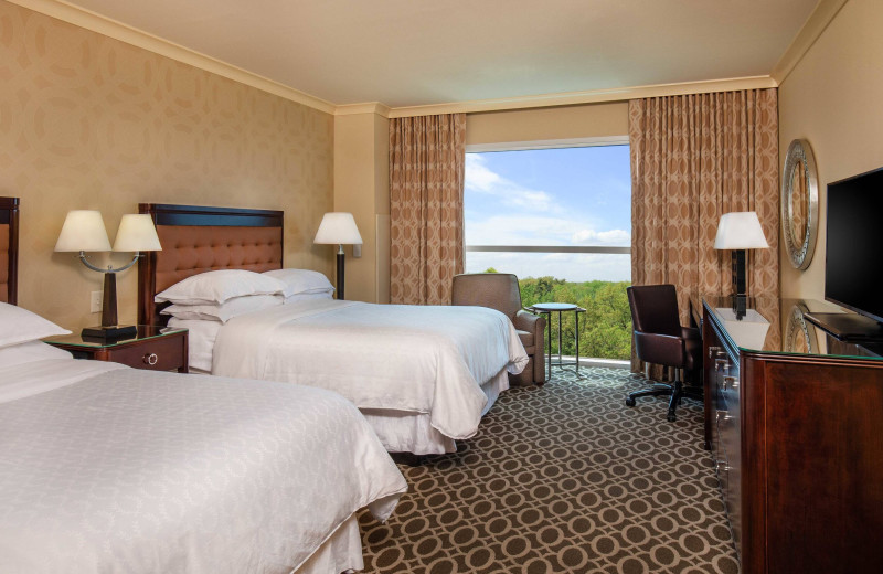 Guest room at Sheraton Myrtle Beach Convention Center Hotel.